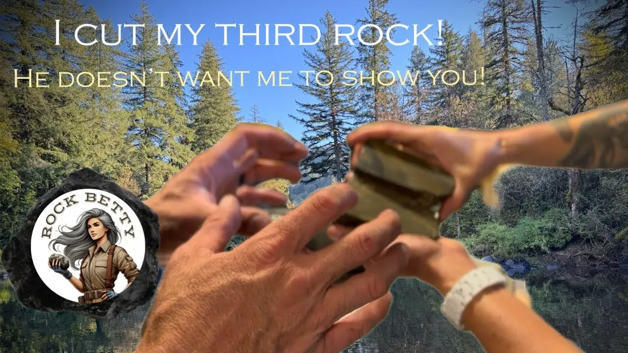 I cut my third rock! Is this real life? Petrified wood from SW Washington. Cutting rocks on my 10”