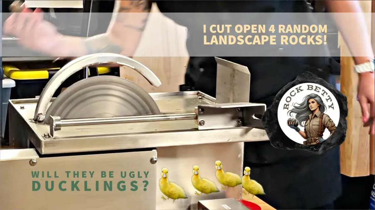 I cut open 4 random landscape rocks