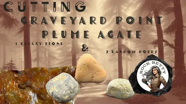 Plume agate with marcasite inclusions & 3 other rocks cut!