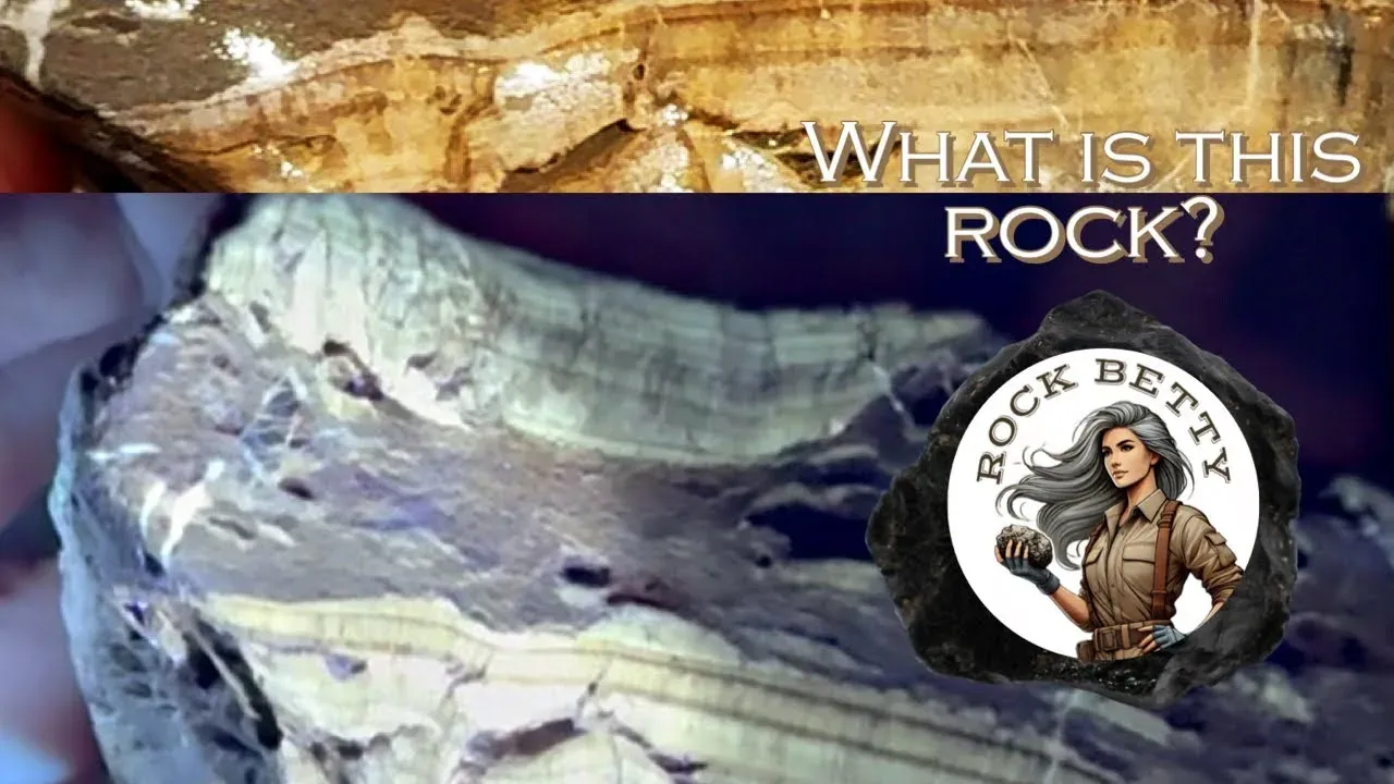 What is this rock? Agate? Petrified wood? Stromatolite? Long wave UV - Let me know what you think!